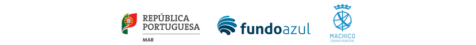 Rodape Logos financiamento 2