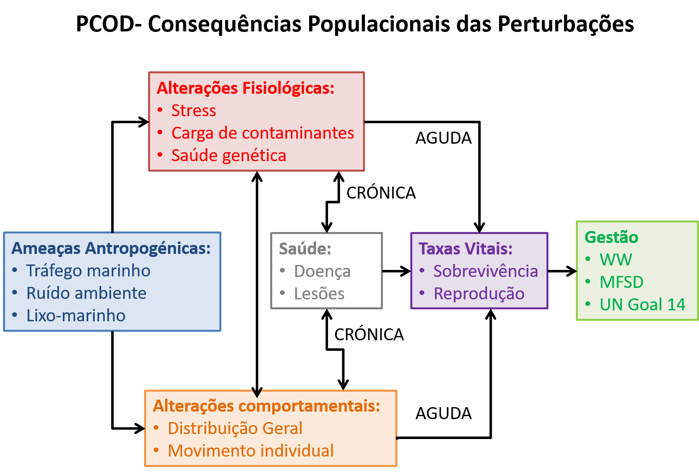 Imagem1