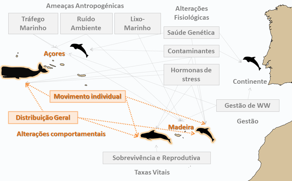 Imagem3